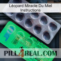 Léopard Miracle Du Miel Instructions new04
